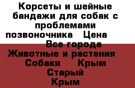 Корсеты и шейные бандажи для собак с проблемами позвоночника › Цена ­ 2 500 - Все города Животные и растения » Собаки   . Крым,Старый Крым